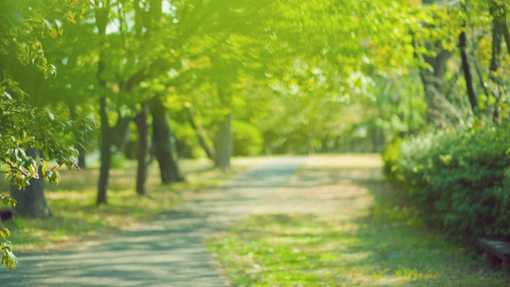 村上春樹の新刊情報まとめ！発売日やあらすじをチェック【2025年最新】