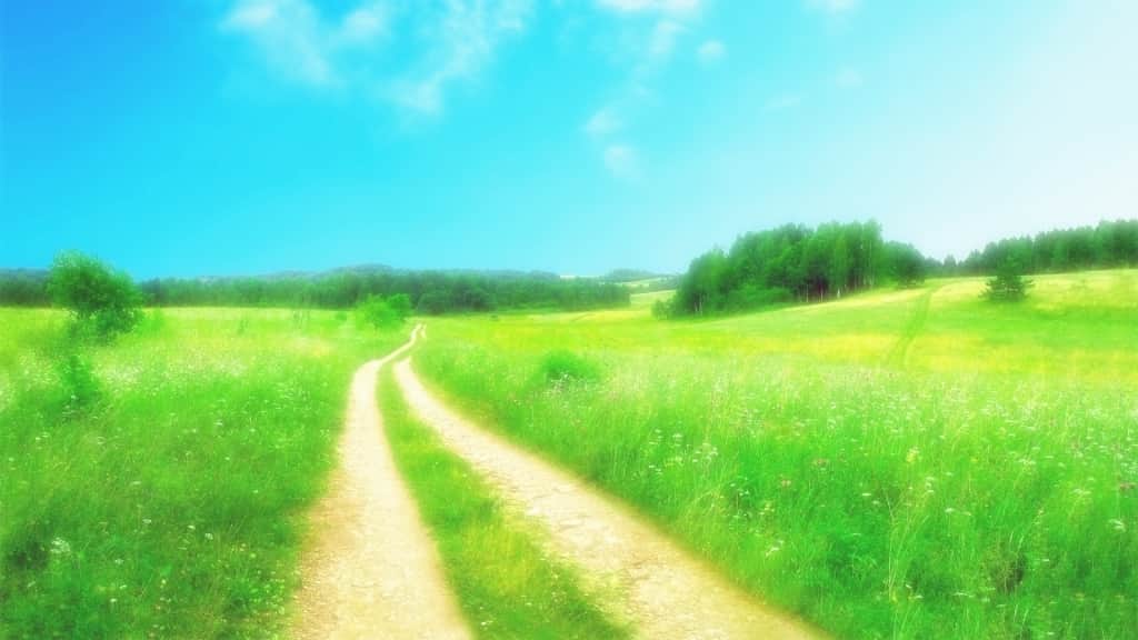 森絵都の新刊情報まとめ！発売日やあらすじをチェック【2025年最新】