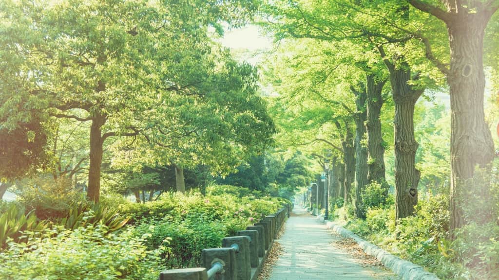 瀬尾まいこの新刊情報まとめ！発売日やあらすじをチェック【2025年最新】