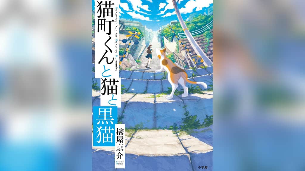 『猫町くんと猫と黒猫』樒屋京介【あらすじ/感想】周りとの絆の大切さに気づく物語