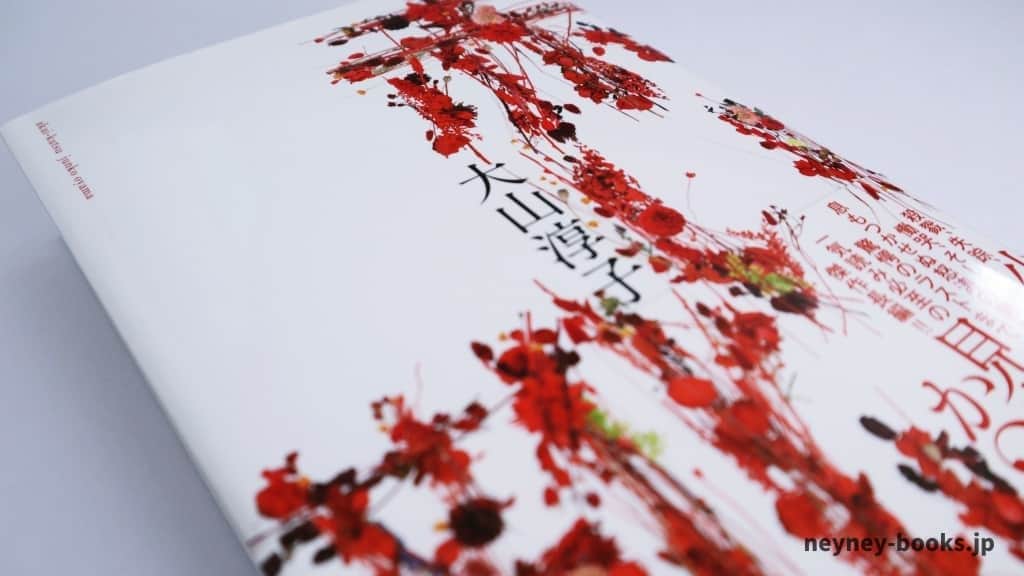 『赤い靴』大山淳子【あらすじ/感想】巌窟王を彷彿とさせる物語がここに!