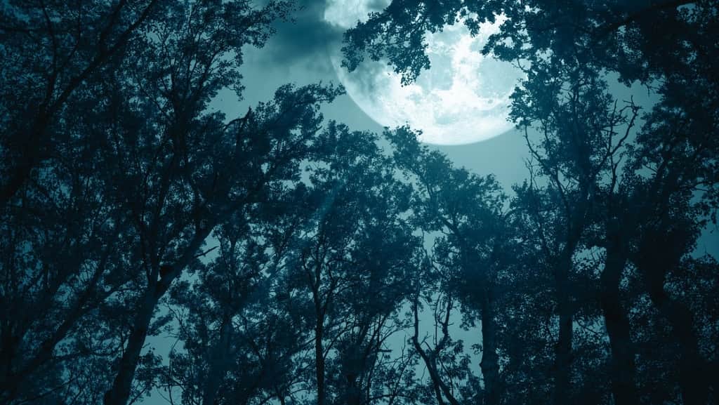 おすすめホラー小説20選【怖いもの見たさでつい】