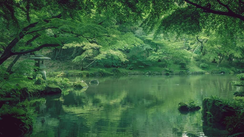 【2026年版】面白いおすすめ純文学小説!まず読むならコレ